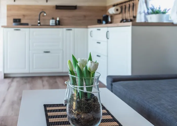 Lawendowy 度假居 Gowidlino